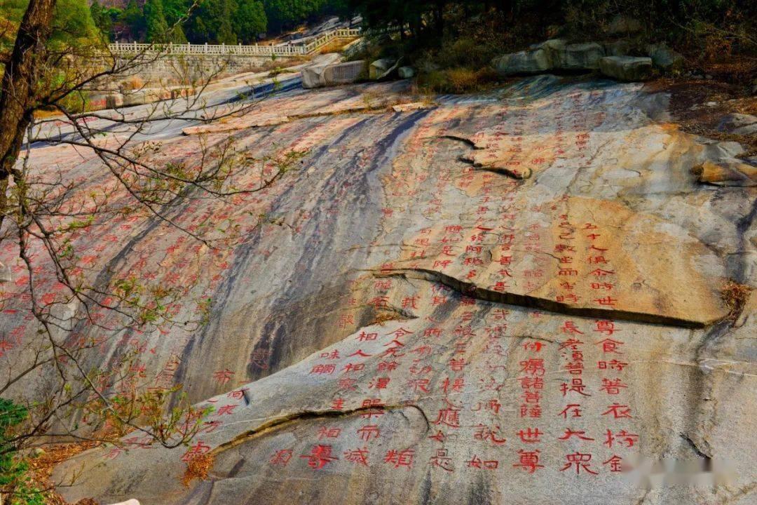 真三国无双8